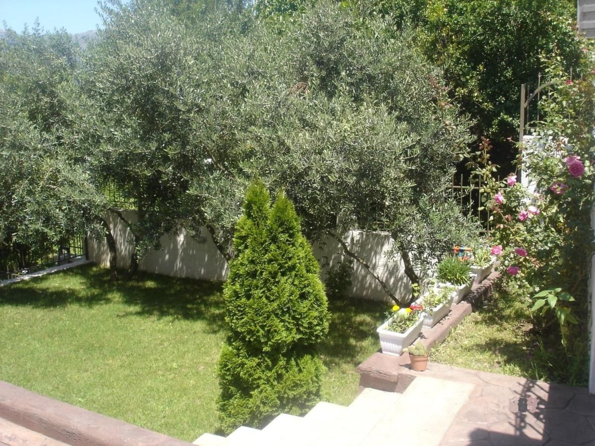 Апартаменты Apartments Popovic 2 Котор